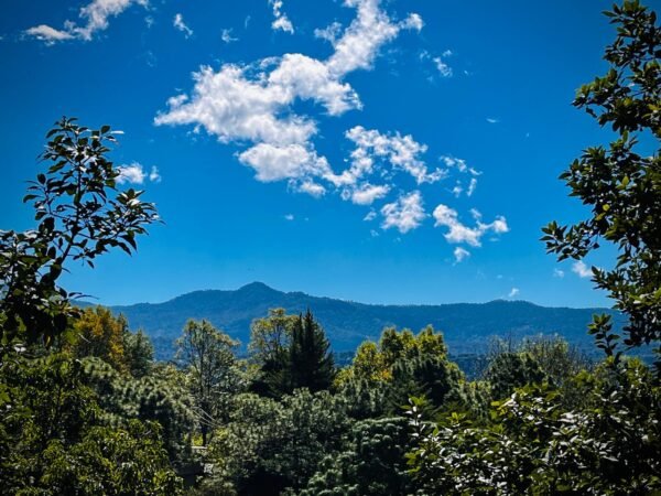 Terreno el Cerezo con vista al Lago y Montañas (4,000m2)