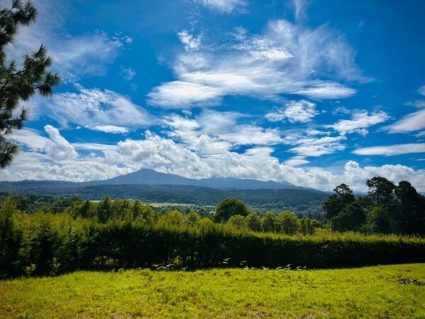 Desarrollo Vista panorámica Acatitlán (1,000m2)